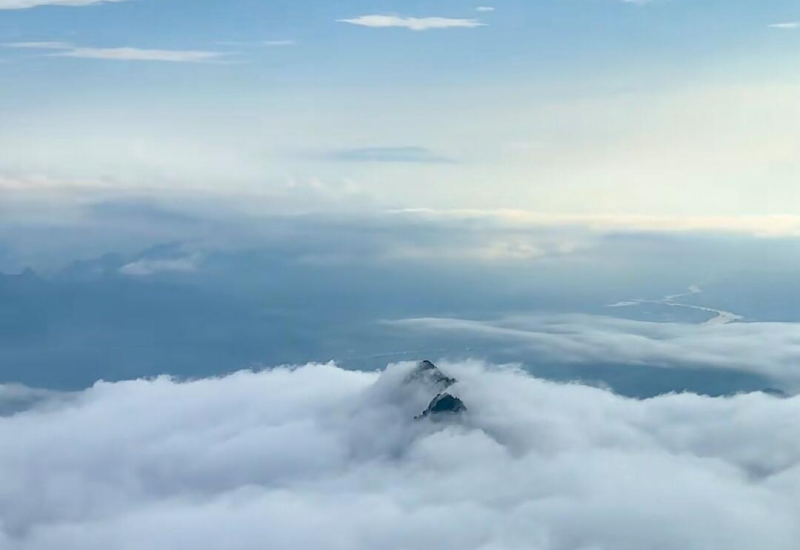 1792052728959276.png 新建项目_12598.png