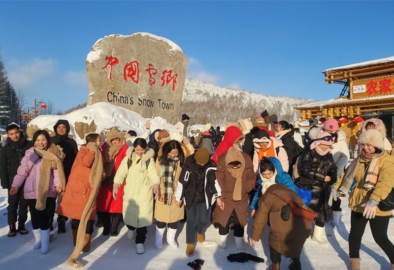 Hunan VIP International Travel Agency Co., Ltd.