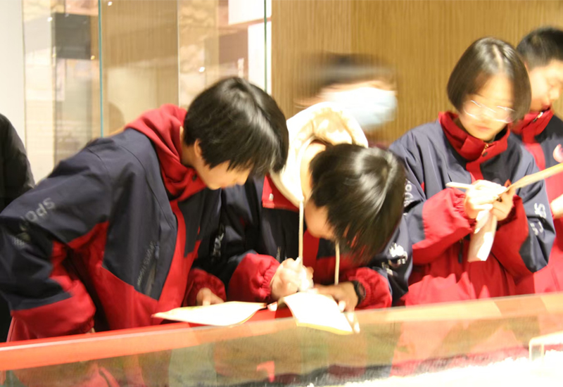 Hunan VIP International Travel Agency Co., Ltd.