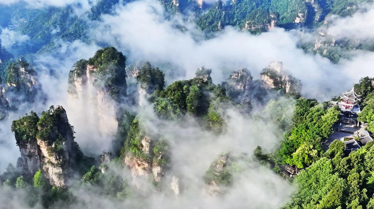 Hunan VIP International Travel Agency Co., Ltd.