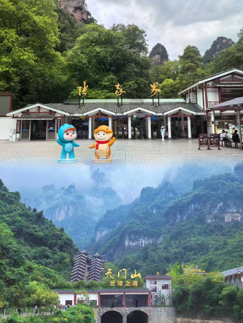Hunan VIP International Travel Agency Co., Ltd.