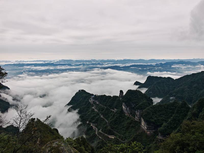 Hunan VIP International Travel Agency Co., Ltd.
