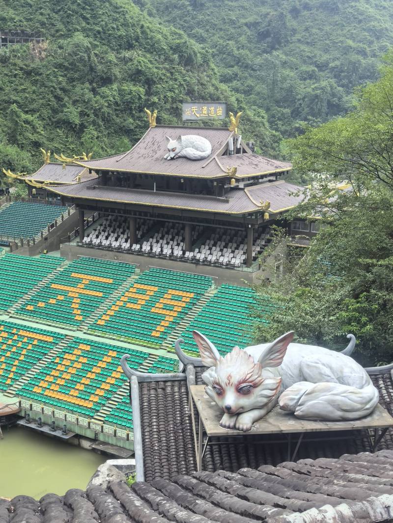 Hunan VIP International Travel Agency Co., Ltd.
