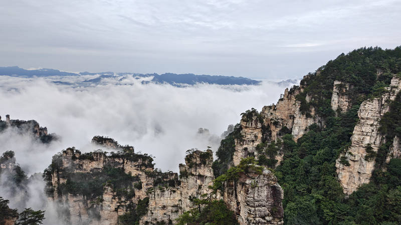 Hunan VIP International Travel Agency Co., Ltd.