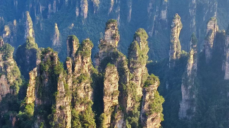 Hunan VIP International Travel Agency Co., Ltd.