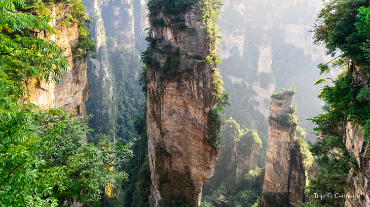 Hunan VIP International Travel Agency Co., Ltd.