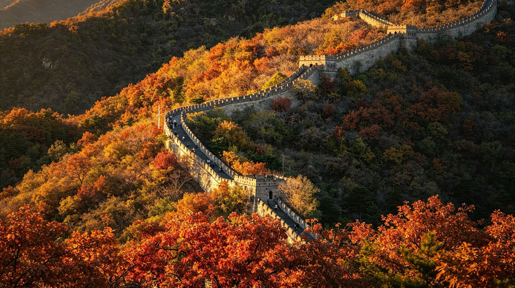 Hunan VIP International Travel Agency Co., Ltd.