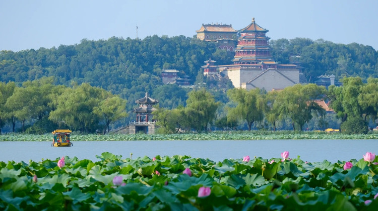 Hunan VIP International Travel Agency Co., Ltd.