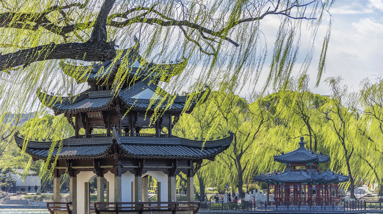 3D2N · Private Tours · Leisure Beijing Cultural Sightseeing, Tailor-Made Itinerary With Exclusive Shadow-Puppet Show Experience