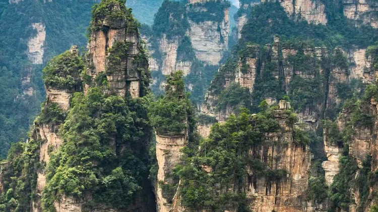 Hunan VIP International Travel Agency Co., Ltd.