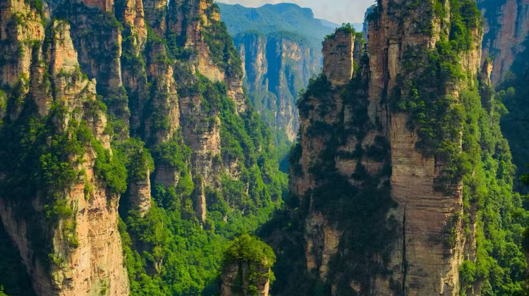 Hunan VIP International Travel Agency Co., Ltd.
