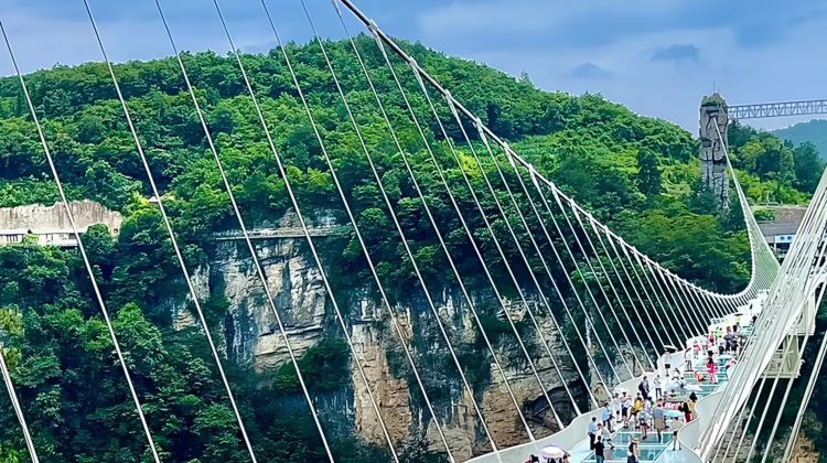 Hunan VIP International Travel Agency Co., Ltd.