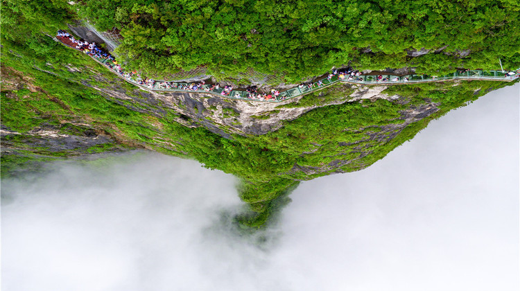 Hunan VIP International Travel Agency Co., Ltd.