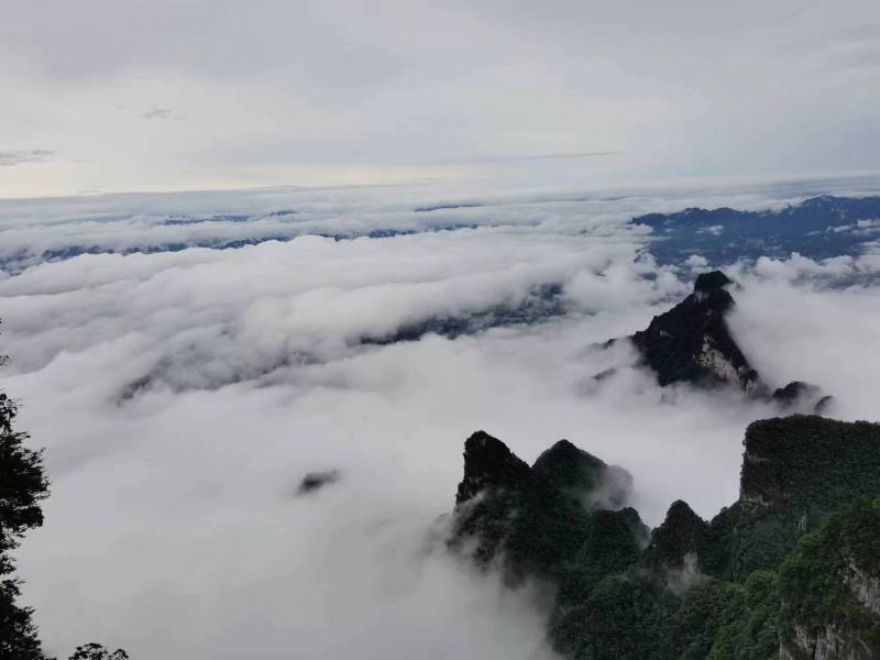 Hunan VIP International Travel Agency Co., Ltd.