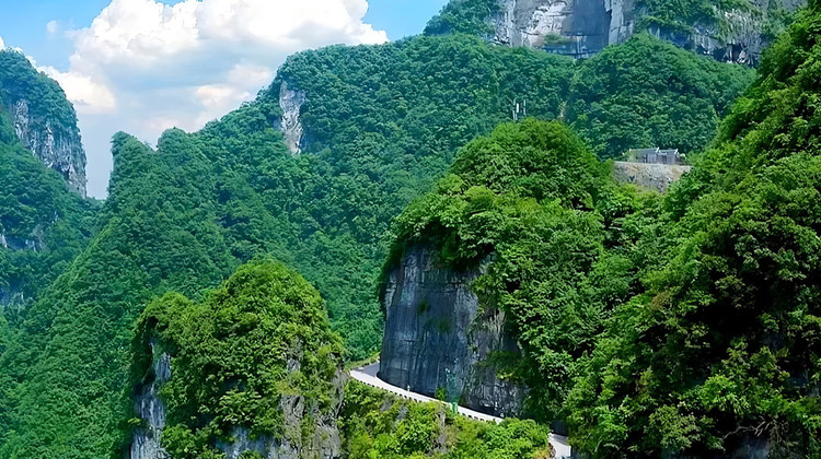 Hunan VIP International Travel Agency Co., Ltd.