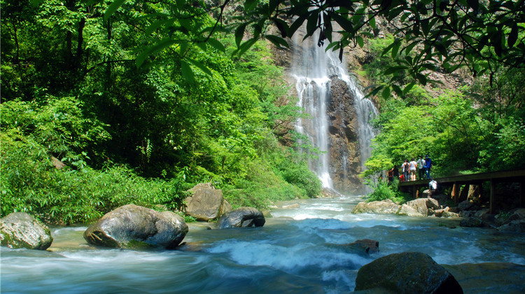 2D1N · Private Tours · Best for families: Zhangjiajie 2-day in-depth Forest Park & Golden Whip Stream, Avatar, Tianmen & Glass Bridge, with free drone, eSIM, and Muslim-friendly options